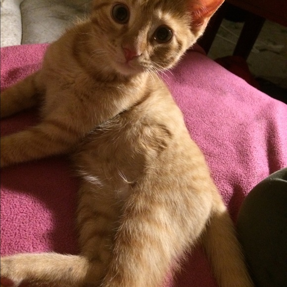 Meet me and maybe shop too! - Picture 4 of 6